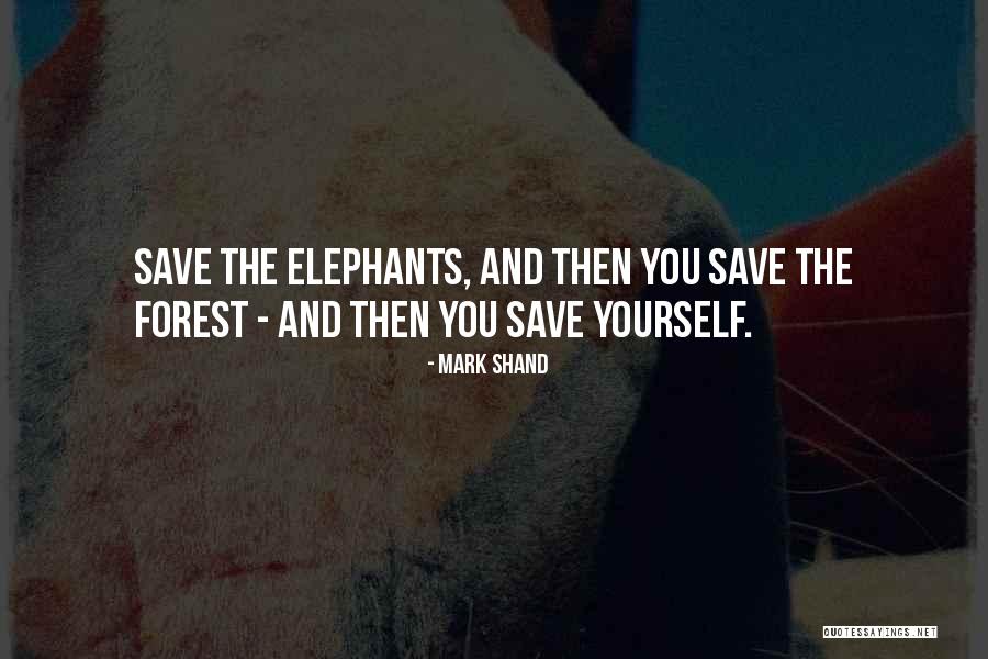 Giovanni Palatucci Quotes By Mark Shand Giovanni Palatucci Quotes By Mark Shand