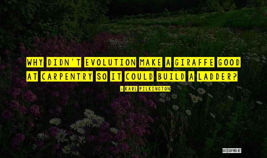 Giraffe Giraffe Quotes By Karl Pilkington