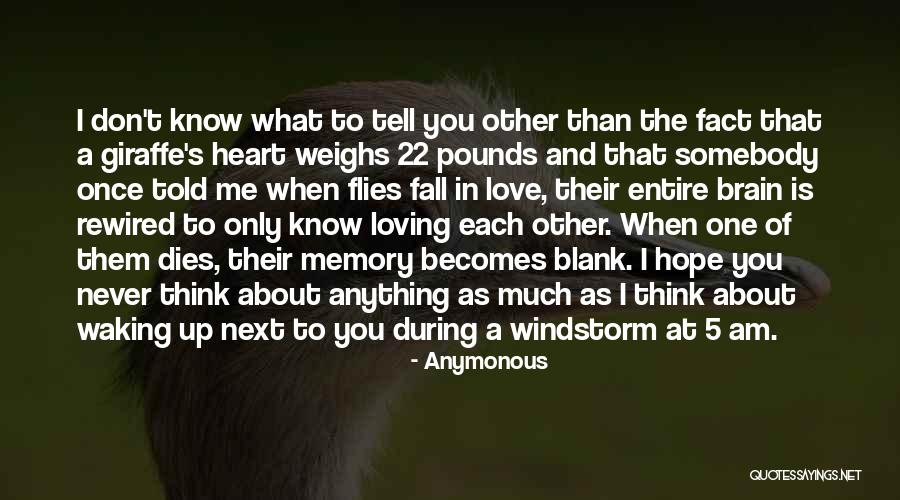 Giraffe Quotes By Anymonous Giraffe Quotes By Anymonous