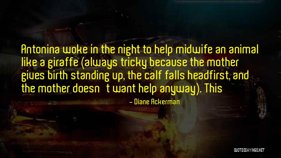 Giraffe Quotes By Diane Ackerman Giraffe Quotes By Diane Ackerman