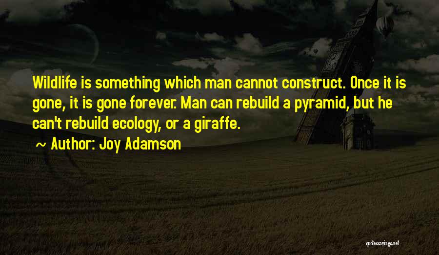 Giraffe Quotes By Joy Adamson