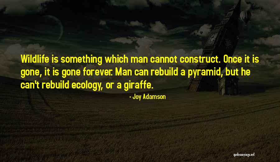Giraffe Quotes By Joy Adamson Giraffe Quotes By Joy Adamson