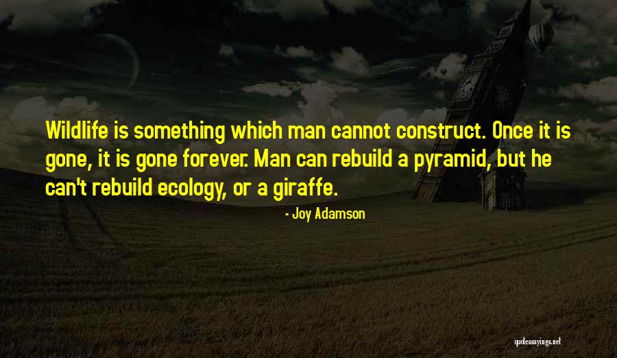 Giraffe Quotes By Joy Adamson