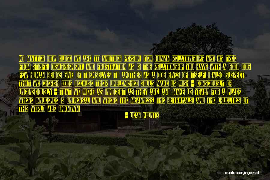 Girandoni Air Rifle Quotes By Dean Koontz Girandoni Air Rifle Quotes By Dean Koontz