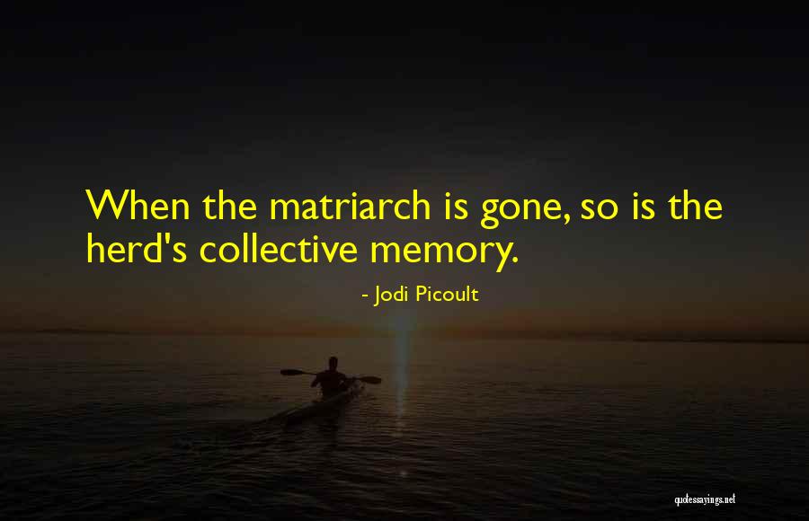 Girardin Minibus Quotes By Jodi Picoult Girardin Minibus Quotes By Jodi Picoult