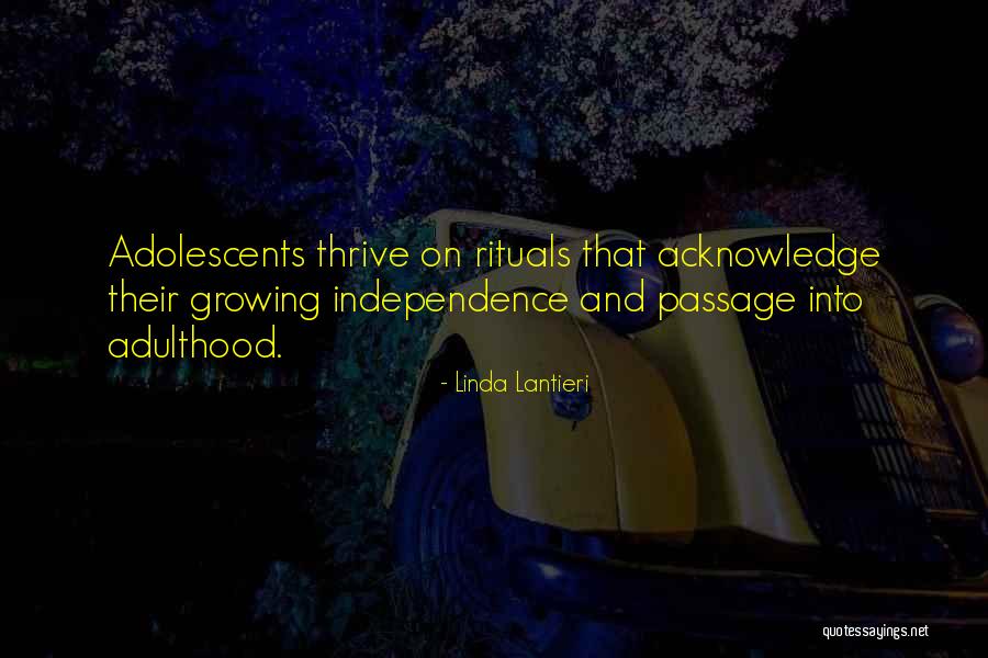 Giraud Case Trimmer Quotes By Linda Lantieri Giraud Case Trimmer Quotes By Linda Lantieri