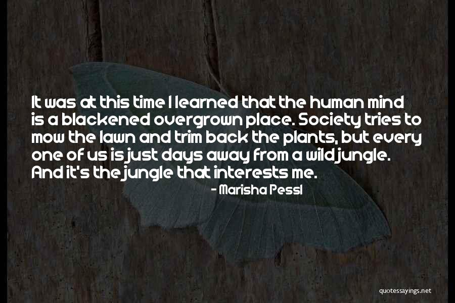 Giray Okten Quotes By Marisha Pessl Giray Okten Quotes By Marisha Pessl