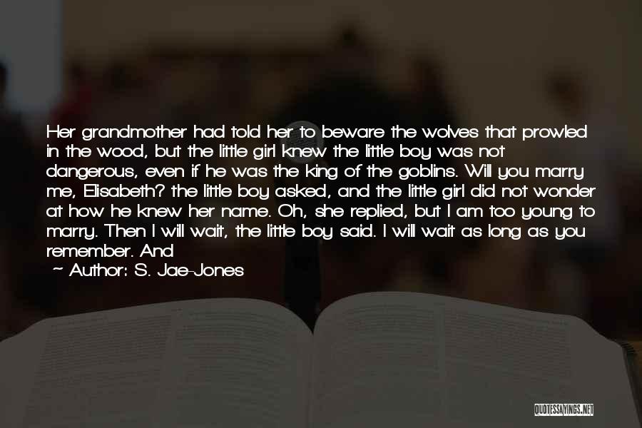 Girl And Boy Quotes By S. Jae-Jones