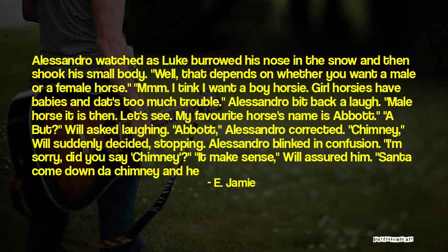 Girl And Her Horse Quotes By E. Jamie