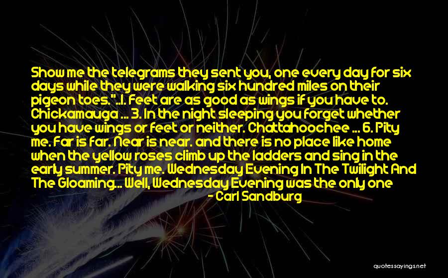 Girl And Horse Quotes By Carl Sandburg Girl And Horse Quotes By Carl Sandburg