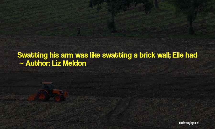 Girl And Money Quotes By Liz Meldon