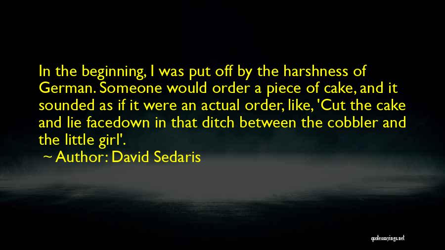 Girl Ditch Quotes By David Sedaris