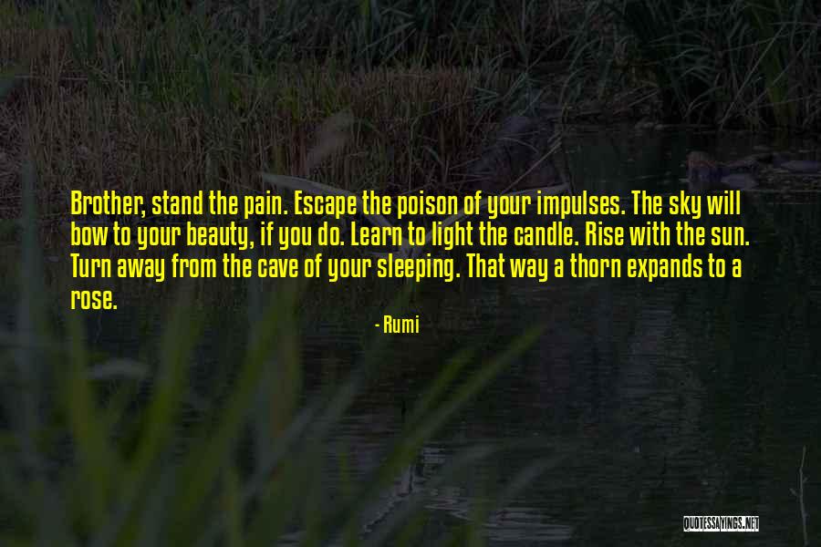 Girl Dont Come Sandie Shaw Quotes By Rumi Girl Dont Come Sandie Shaw Quotes By Rumi