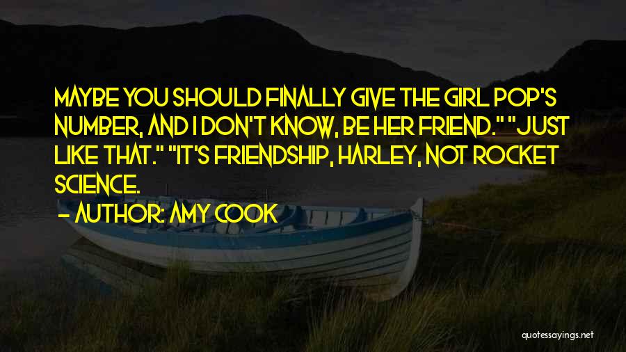 Girl Don't Like You Quotes By Amy Cook