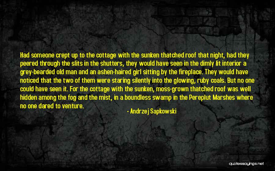 Girl Fireplace Quotes By Andrzej Sapkowski Girl Fireplace Quotes By Andrzej Sapkowski