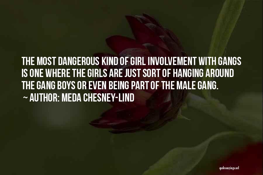 Girl Gang Quotes By Meda Chesney-Lind