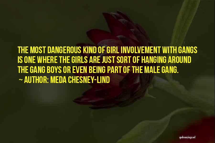 Girl Gangs Quotes By Meda Chesney-Lind