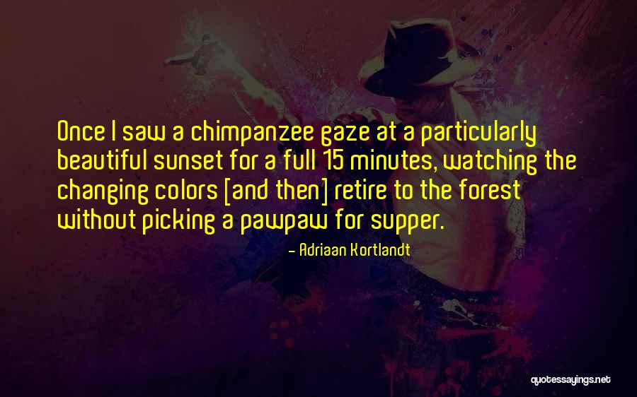 Girl Self Destruct Quotes By Adriaan Kortlandt Girl Self Destruct Quotes By Adriaan Kortlandt