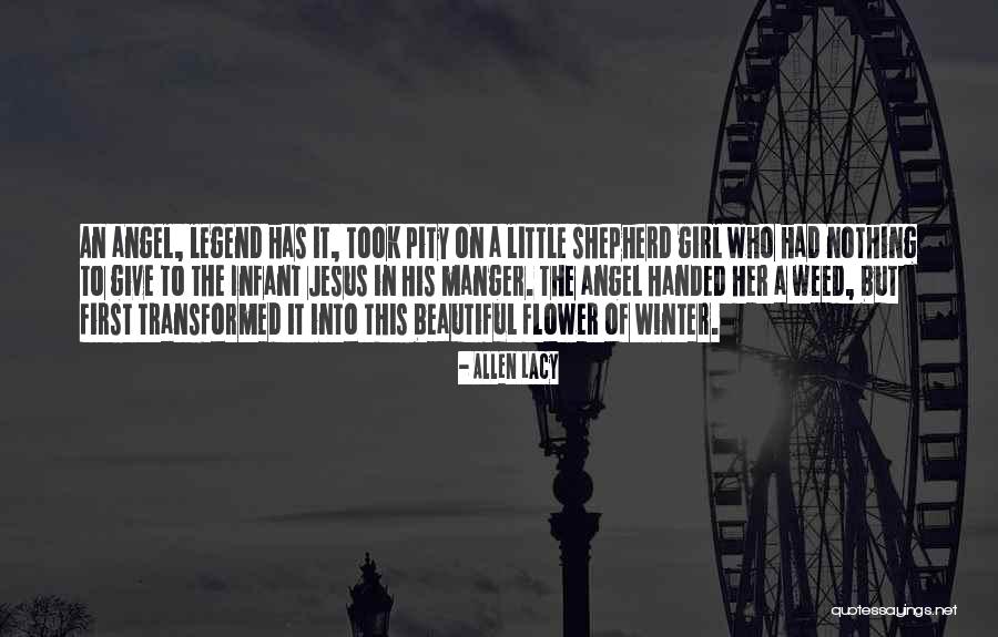 Girl Shepherd Quotes By Allen Lacy Girl Shepherd Quotes By Allen Lacy