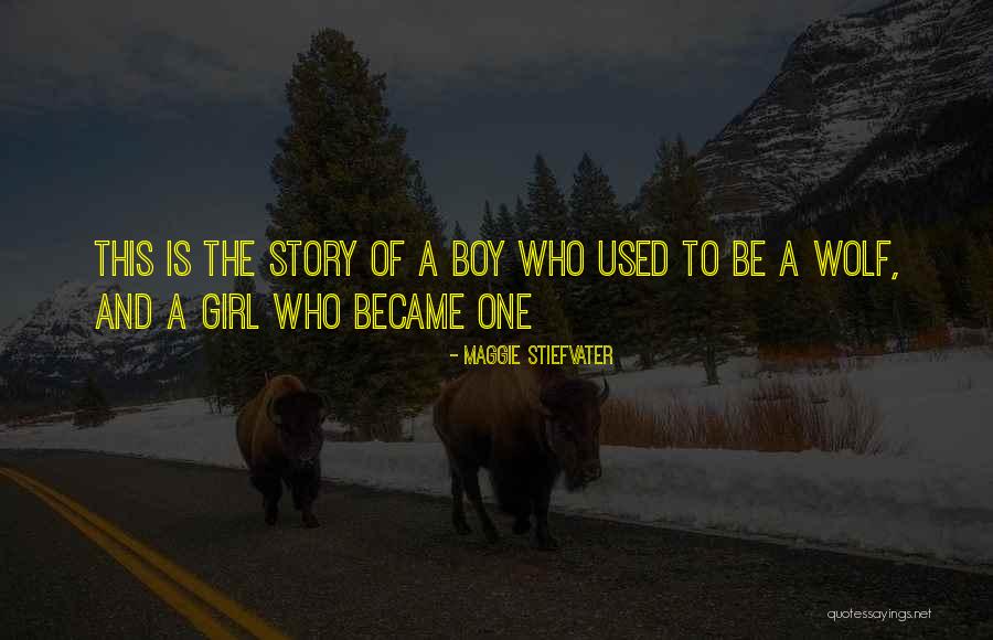 Girl To Boy Quotes By Maggie Stiefvater