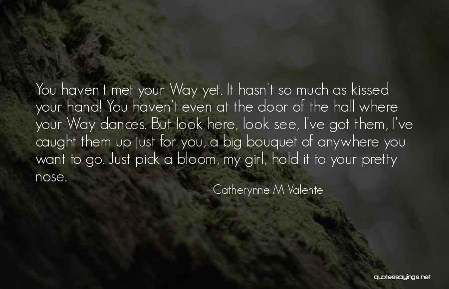 Girl You Just Met Quotes By Catherynne M Valente