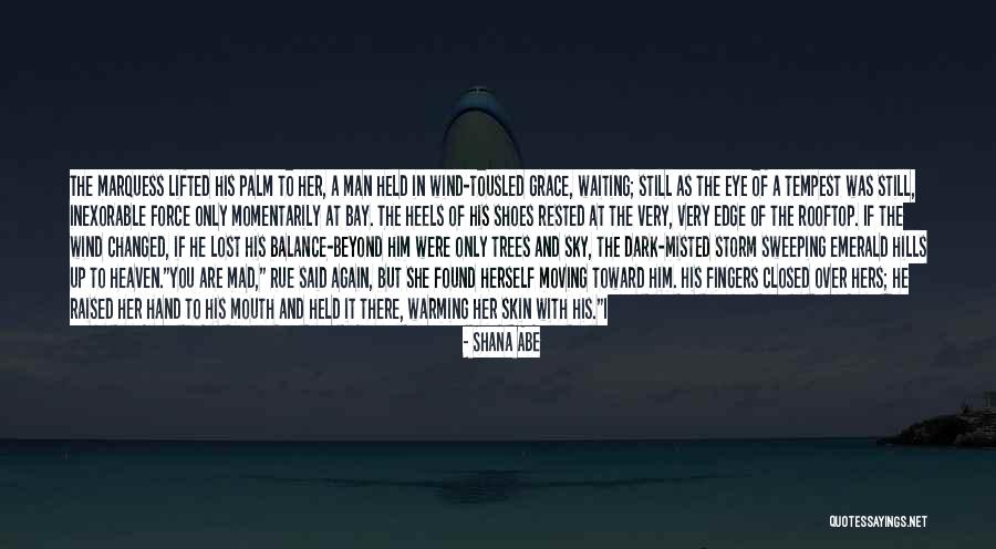 Girl You Lost Quotes By Shana Abe