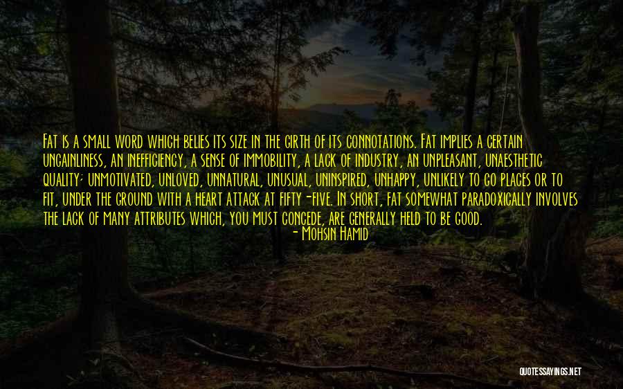 Girth Quotes By Mohsin Hamid Girth Quotes By Mohsin Hamid