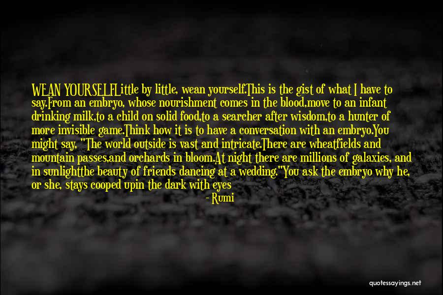 Gist Quotes By Rumi Gist Quotes By Rumi
