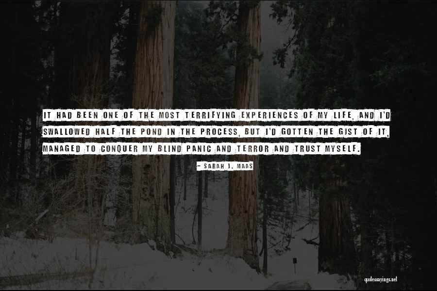 Gist Quotes By Sarah J. Maas Gist Quotes By Sarah J. Maas