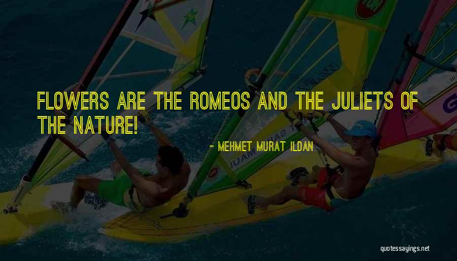 Gitanes Cigarettes Quotes By Mehmet Murat Ildan Gitanes Cigarettes Quotes By Mehmet Murat Ildan