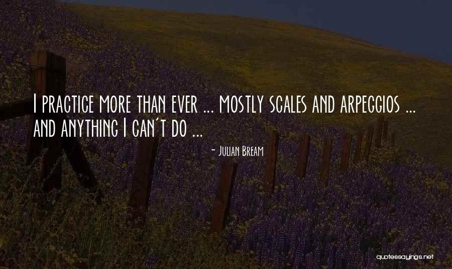 Gitmicem Quotes By Julian Bream Gitmicem Quotes By Julian Bream