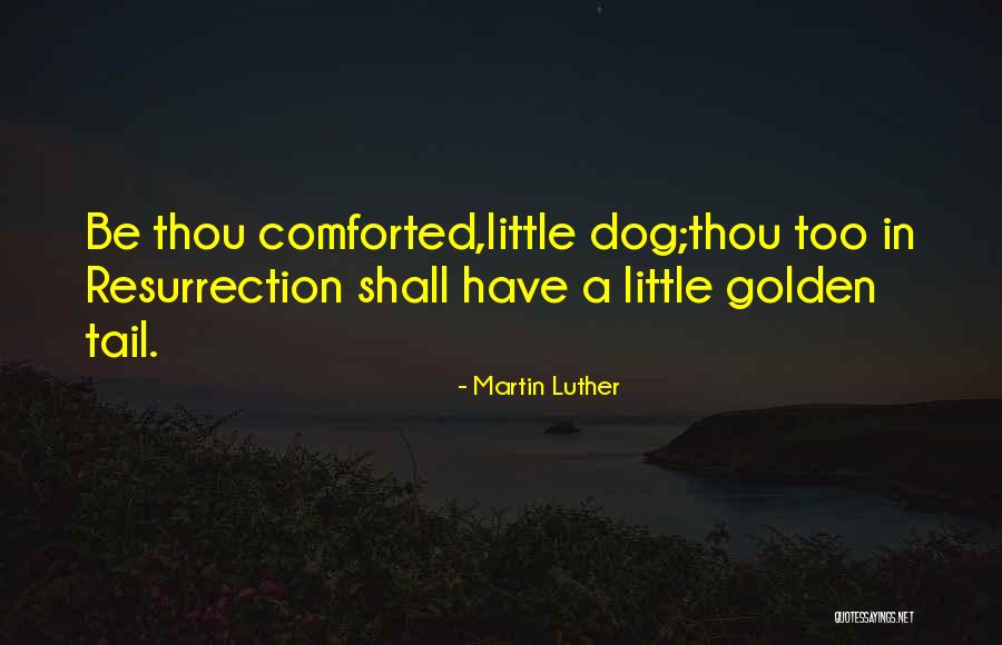 Gitsem Diyorum Quotes By Martin Luther Gitsem Diyorum Quotes By Martin Luther