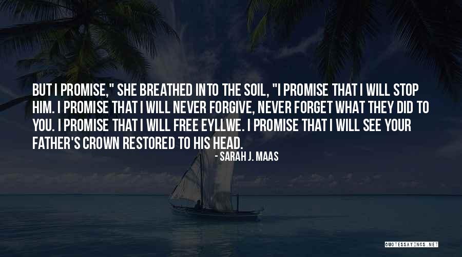 Gitty Berger Quotes By Sarah J. Maas Gitty Berger Quotes By Sarah J. Maas