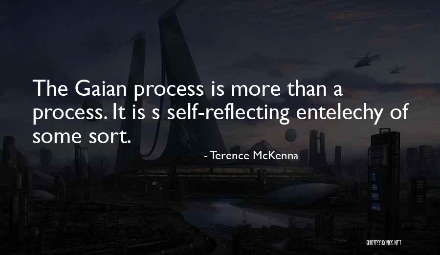 Giudizio In Via Incidentale Quotes By Terence McKenna Giudizio In Via Incidentale Quotes By Terence McKenna