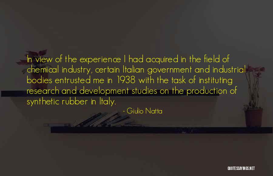 Giulio Natta Quotes 1612720