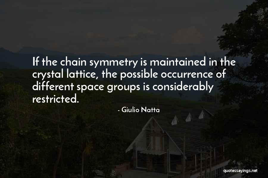 Giulio Natta Quotes 1777181