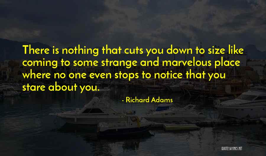 Giustina Rossi Quotes By Richard Adams Giustina Rossi Quotes By Richard Adams
