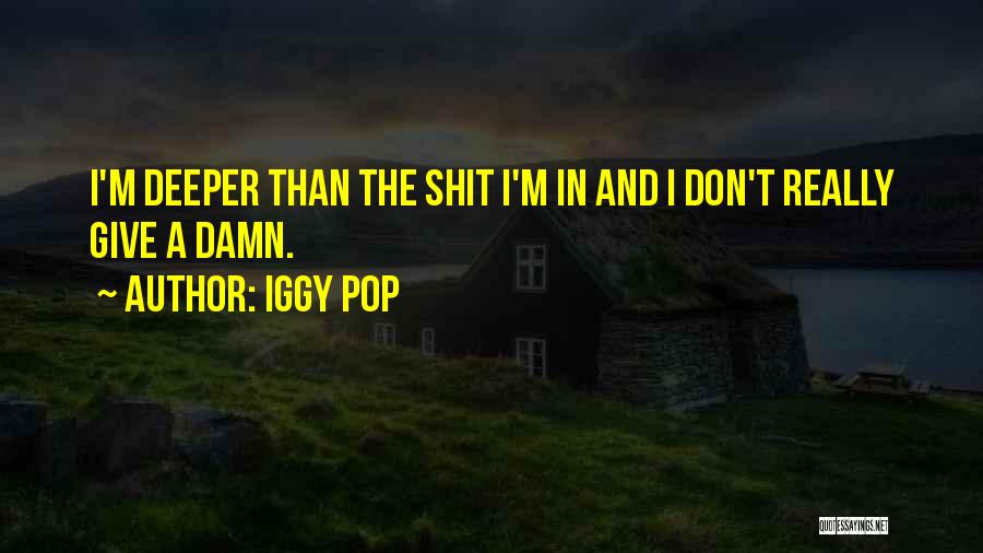 Give A Damn Attitude Quotes By Iggy Pop