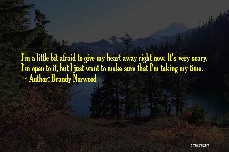 Give A Little Bit Quotes By Brandy Norwood