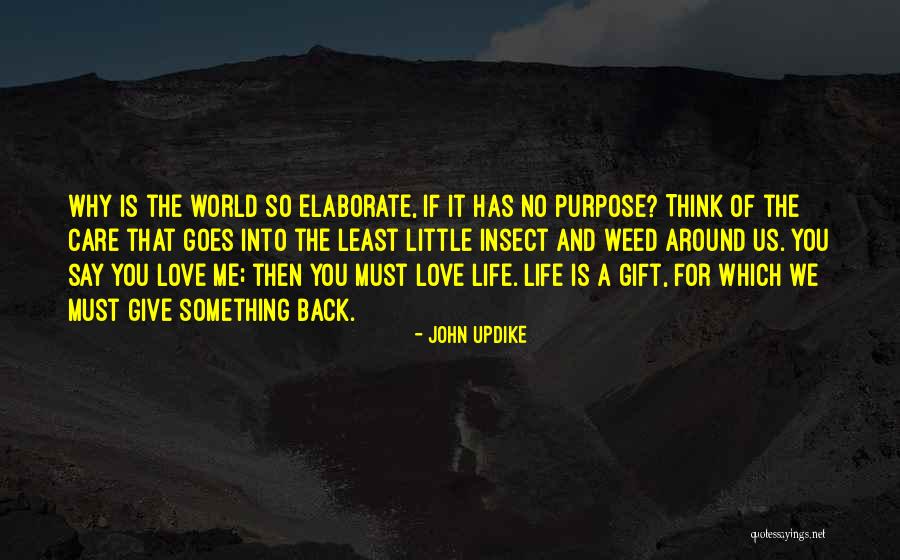 Give A Little Love Quotes By John Updike