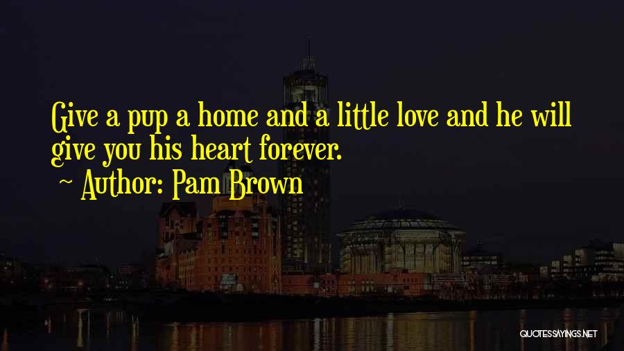 Give A Little Love Quotes By Pam Brown