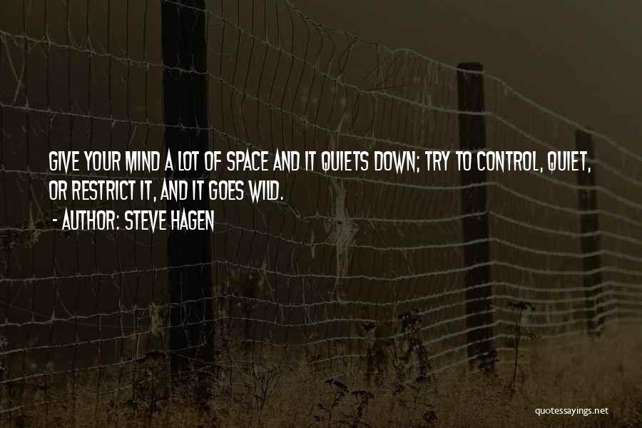 Give A Try Quotes By Steve Hagen