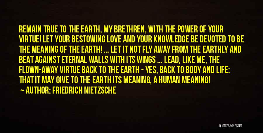 Give Back To The Earth Quotes By Friedrich Nietzsche