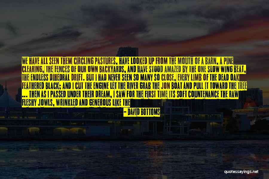 Give It All Away Quotes By David Bottoms Give It All Away Quotes By David Bottoms