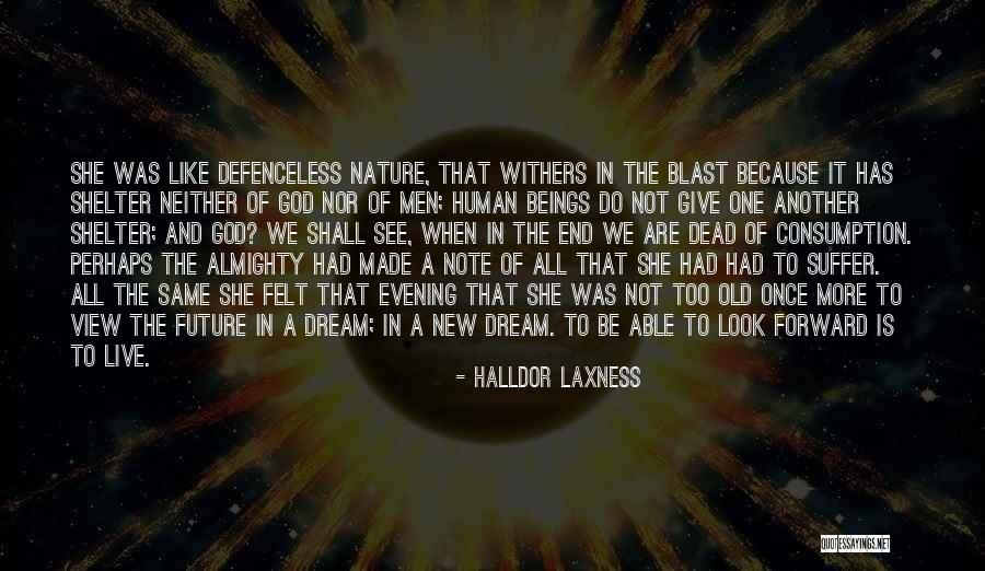 Give It All To God Quotes By Halldor Laxness