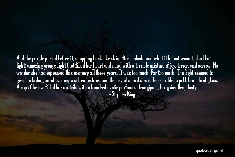 Give It All To God Quotes By Stephen King