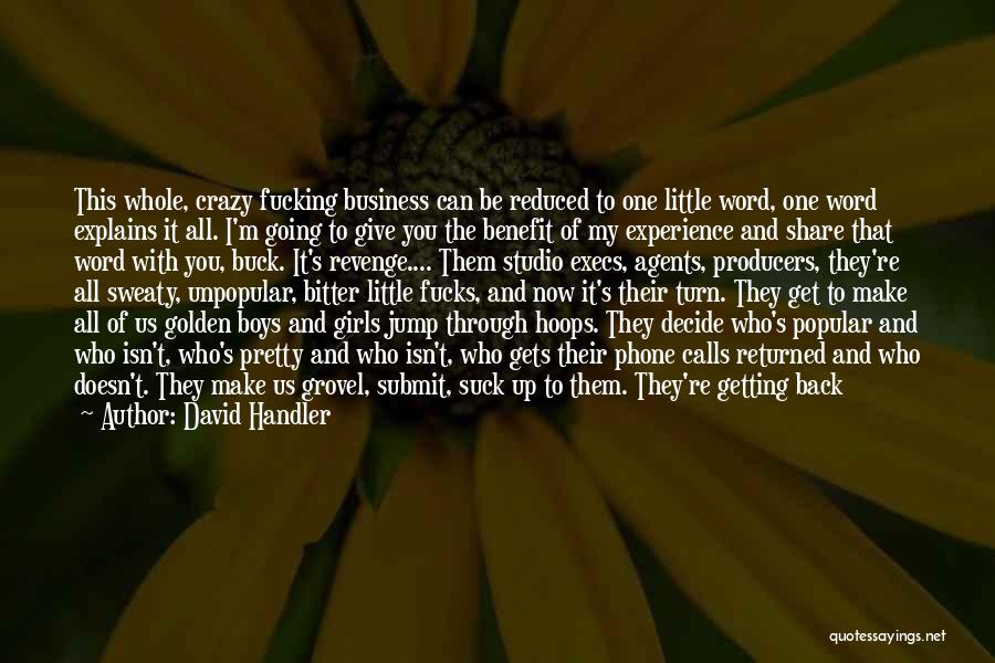 Give It All Up For You Quotes By David Handler