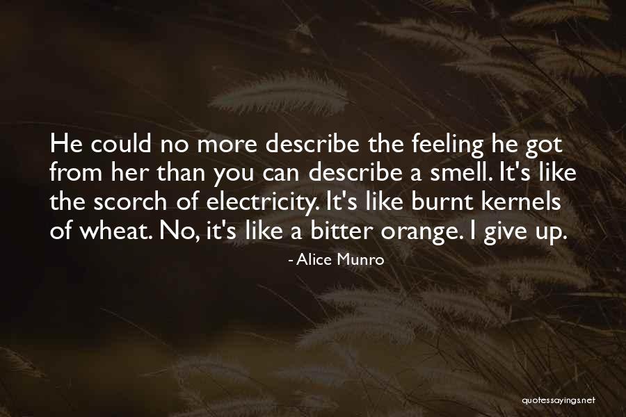 Give It Up Quotes By Alice Munro