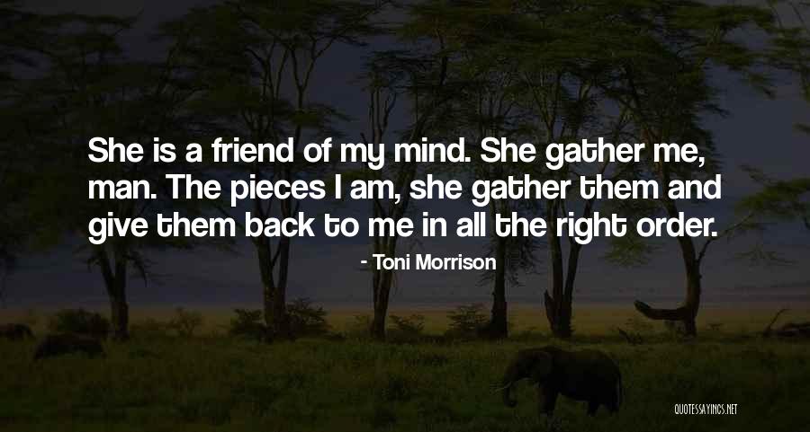 Give Me Friendship Quotes By Toni Morrison Give Me Friendship Quotes By Toni Morrison