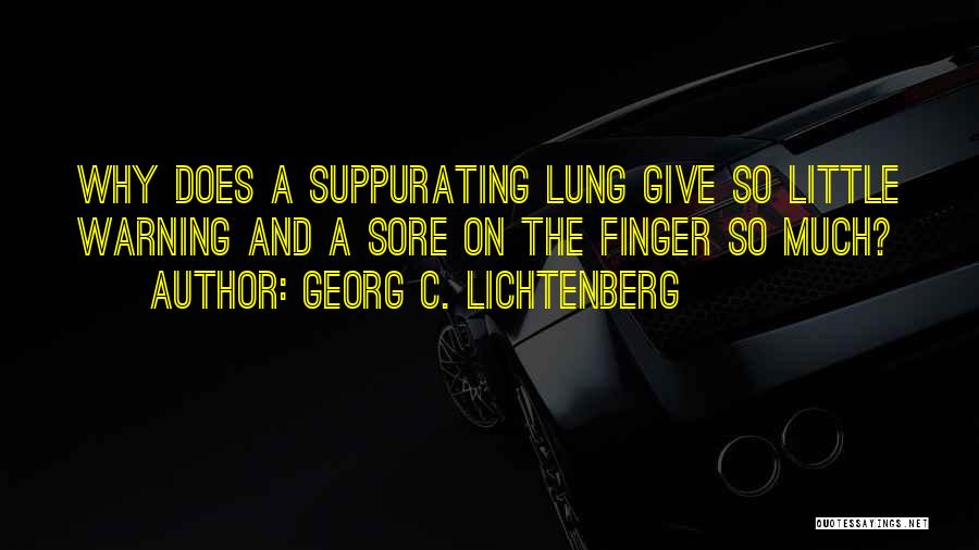 Give So Much Quotes By Georg C. Lichtenberg